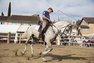 Image showing Rider