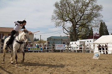 Image showing  Archery on horseback