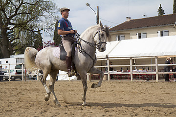 Image showing Horse riding