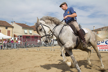 Image showing Rider