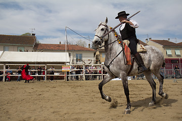 Image showing Rider and dancer