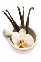 Image showing mortar with vanilla pods and flower