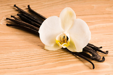 Image showing Vanilla pods and flower