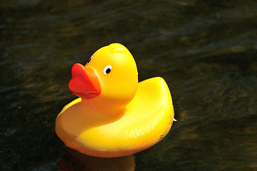 Image showing Rubber Duck