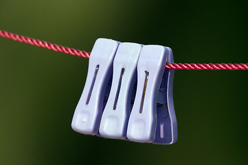 Image showing Clips