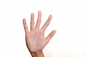 Image showing Five fingers