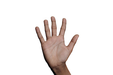 Image showing Five fingers