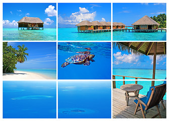 Image showing Maldives