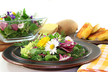 Image showing Wild herb salad