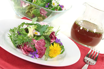 Image showing Wild herb salad