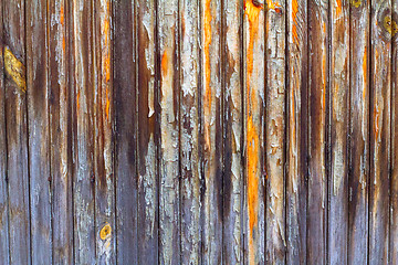 Image showing Wooden Texture