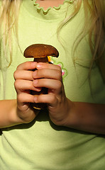 Image showing Cep in hands