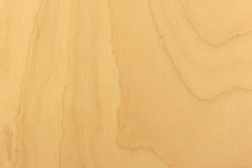 Image showing Wood Texture