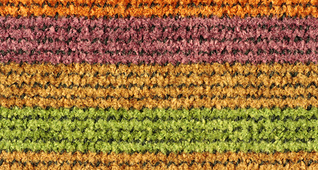 Image showing Colorful Woven Texture