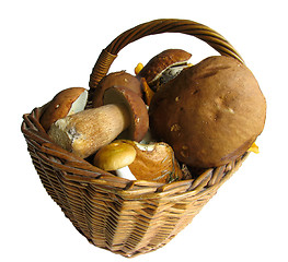 Image showing Basket full of mushrooms