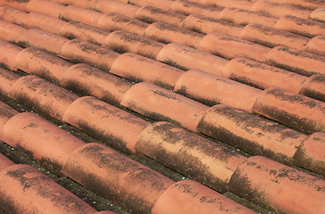 Image showing Roof Tiles