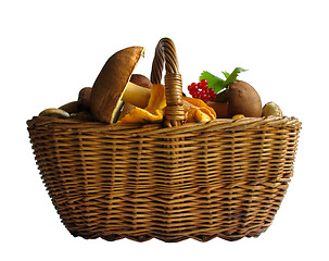 Image showing Basket with mushrooms