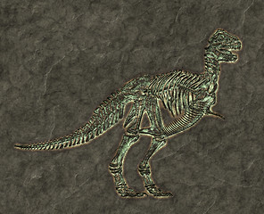 Image showing t-rex skeleton