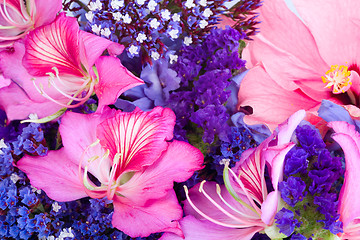 Image showing colorful background of tropical flowers. 