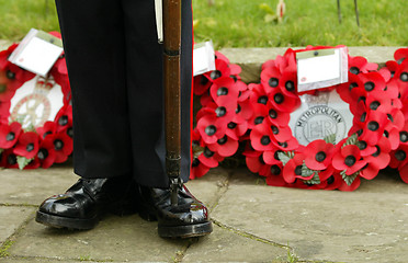 Image showing Remembrance Day
