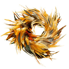 Image showing Feather