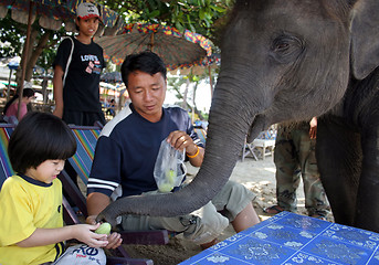 Image showing Elephant