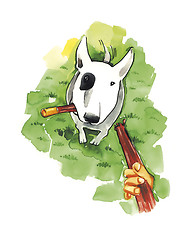 Image showing Bull terrier with stick