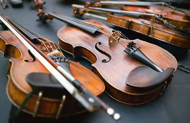 Image showing  Violins