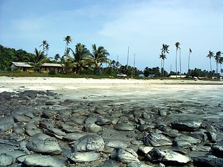 Image showing Black Rock Beach-02