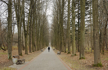 Image showing Autumn in the park