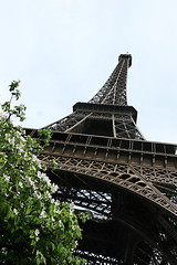 Image showing The Eiffel Tower