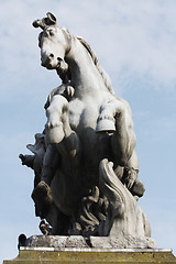 Image showing Stallion Statue