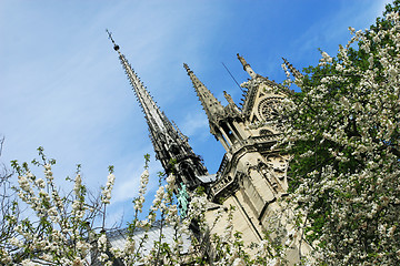 Image showing Notre Dame de Paris