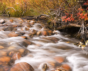 Image showing Autumn creek