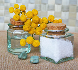 Image showing Bottles of essential oil and sea salt in spa composition 