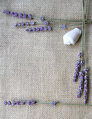 Image showing Bunch of lavender flowers on sackcloth background