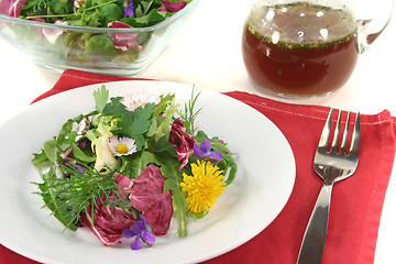 Image showing Wild herb salad