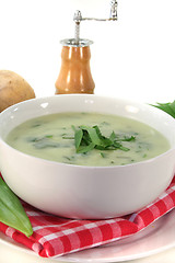 Image showing Wild garlic soup