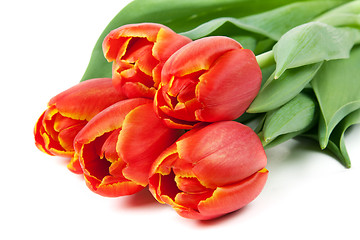 Image showing bouquet of red tulips