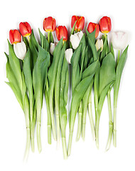 Image showing bouquet of red tulips