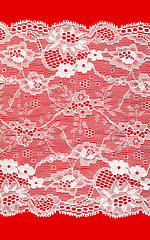 Image showing White lace