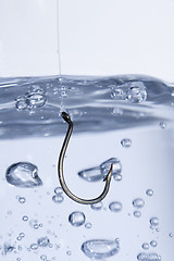 Image showing Hook in water