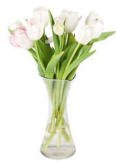 Image showing bright tulips