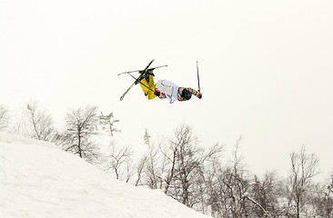 Image showing skier flip in the air