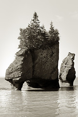 Image showing Hopewell Rocks