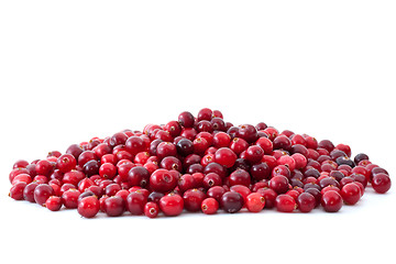 Image showing Pile of ripe cranberries