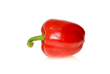 Image showing Single red sweet pepper