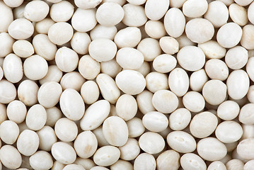 Image showing Round white haricot beans