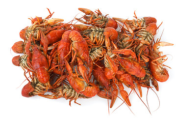 Image showing Pile of boiled crawfishes