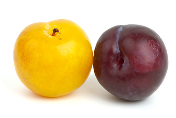 Image showing Yellow and violet plums